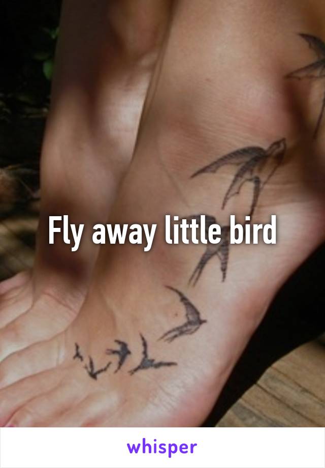 Fly away little bird