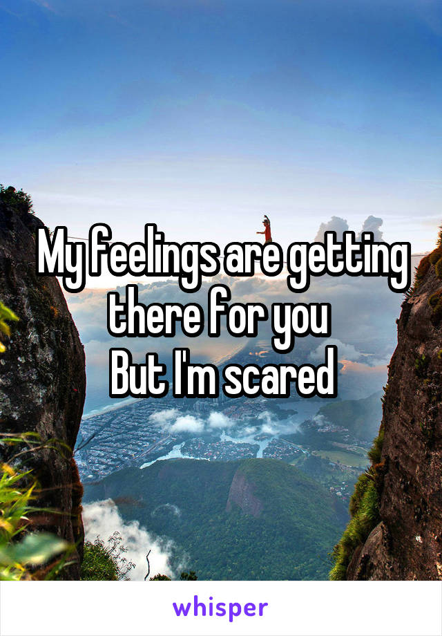 My feelings are getting there for you 
But I'm scared