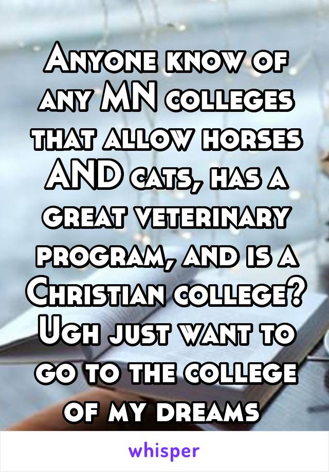 Anyone know of any MN colleges that allow horses AND cats, has a great veterinary program, and is a Christian college? Ugh just want to go to the college of my dreams 