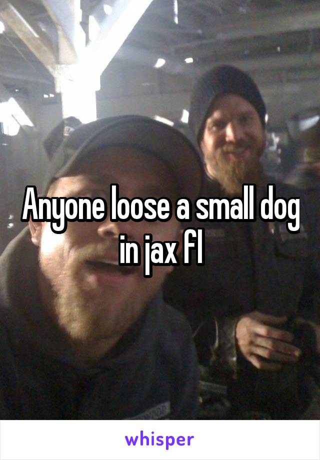 Anyone loose a small dog in jax fl