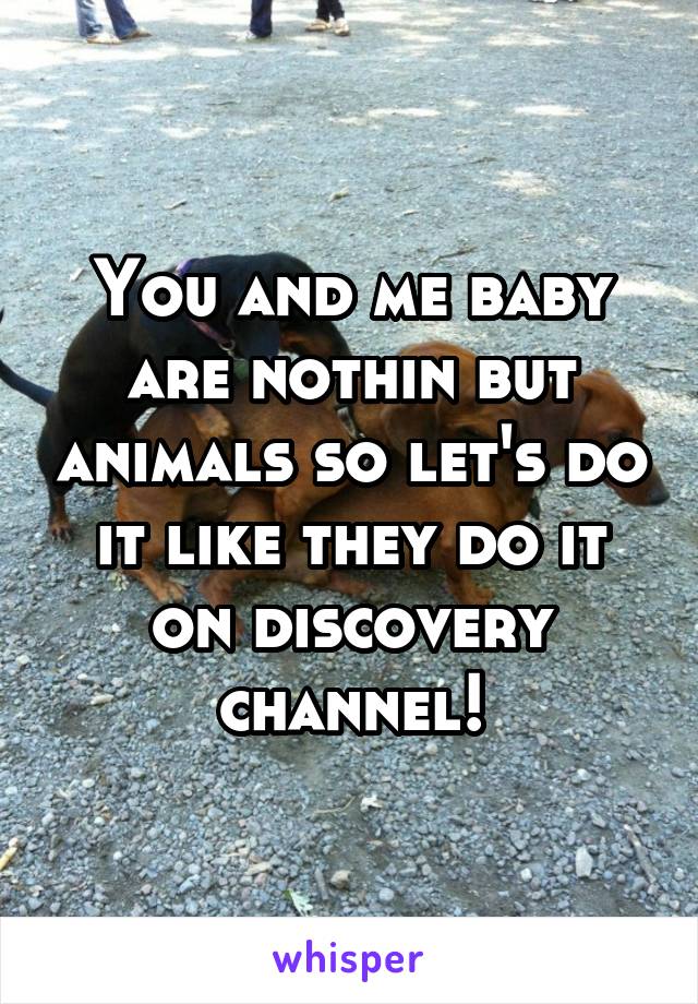 You and me baby are nothin but animals so let's do it like they do it on discovery channel!