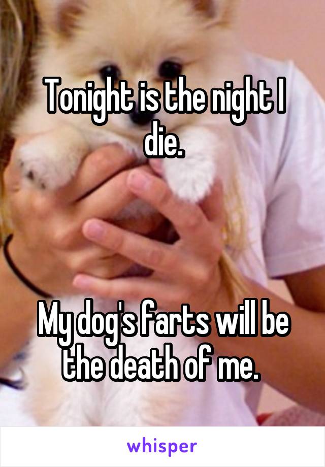 Tonight is the night I die.



My dog's farts will be the death of me. 