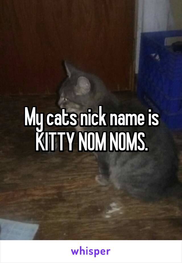 My cats nick name is KITTY NOM NOMS.
