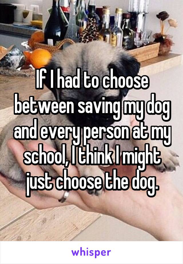 If I had to choose between saving my dog and every person at my school, I think I might just choose the dog.
