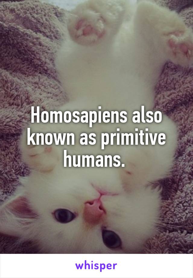 Homosapiens also known as primitive humans. 