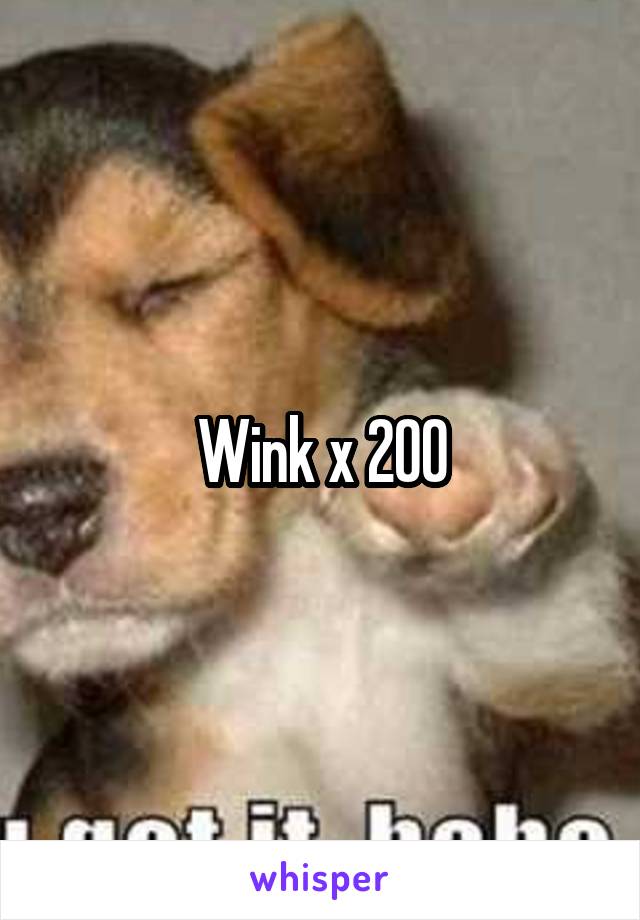 Wink x 200