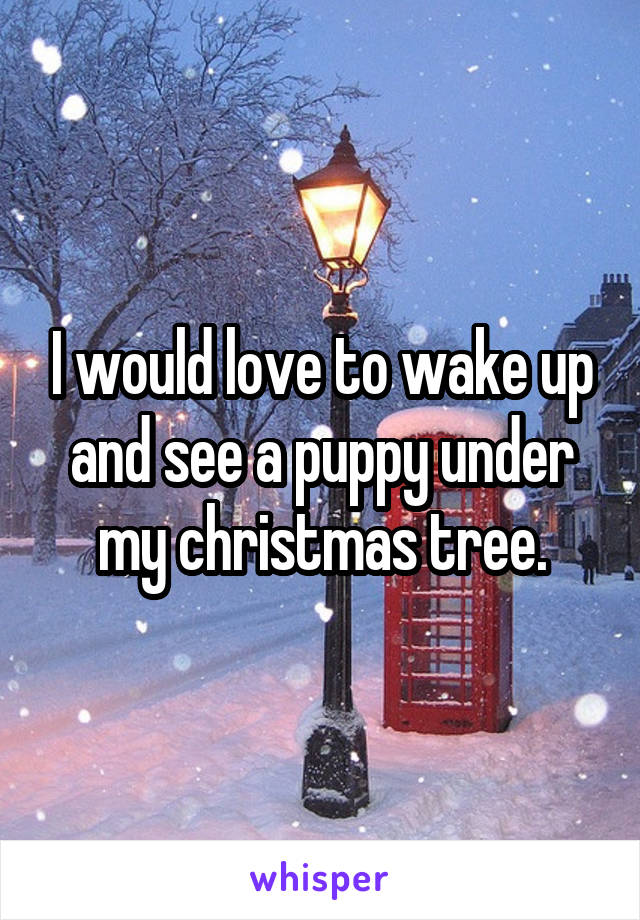 I would love to wake up and see a puppy under my christmas tree.