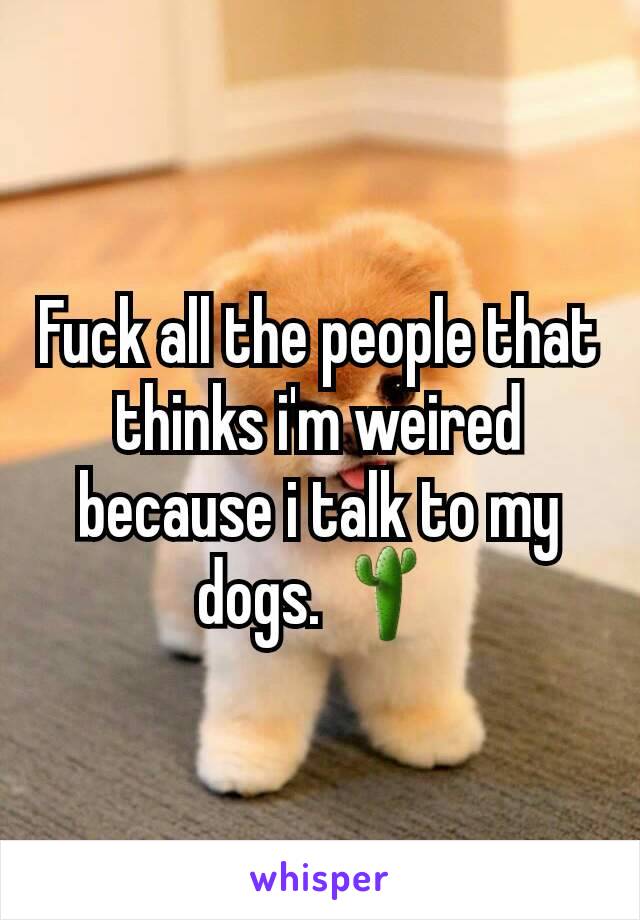Fuck all the people that thinks i'm weired because i talk to my dogs. 🌵