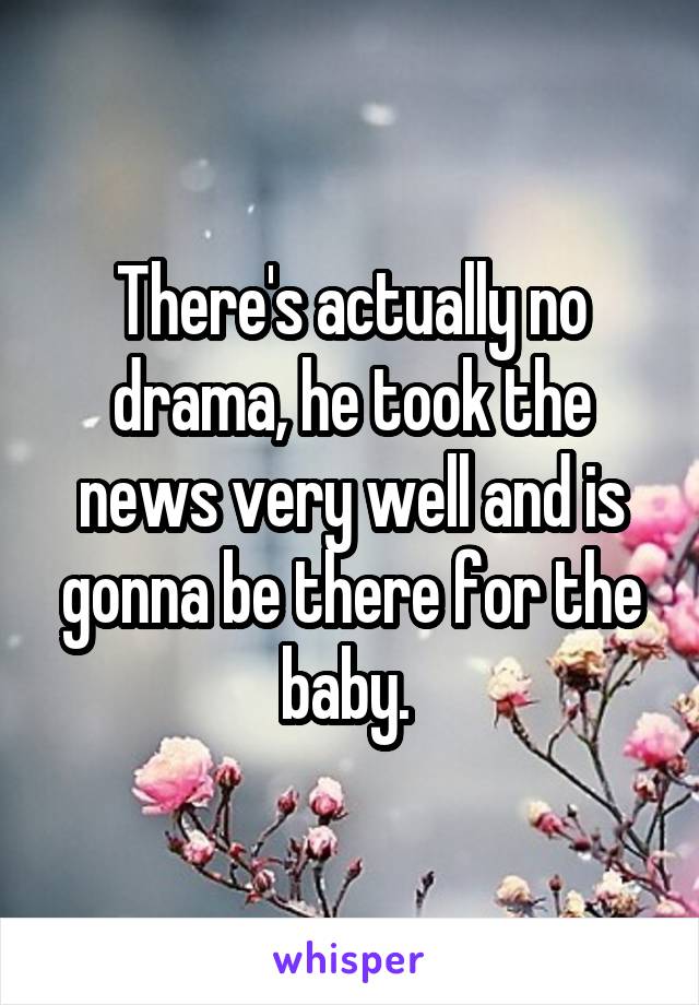 There's actually no drama, he took the news very well and is gonna be there for the baby. 