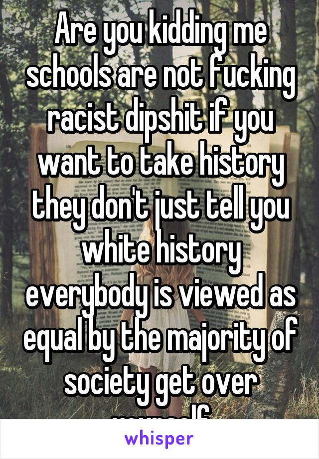 Are you kidding me schools are not fucking racist dipshit if you want to take history they don't just tell you white history everybody is viewed as equal by the majority of society get over yourself