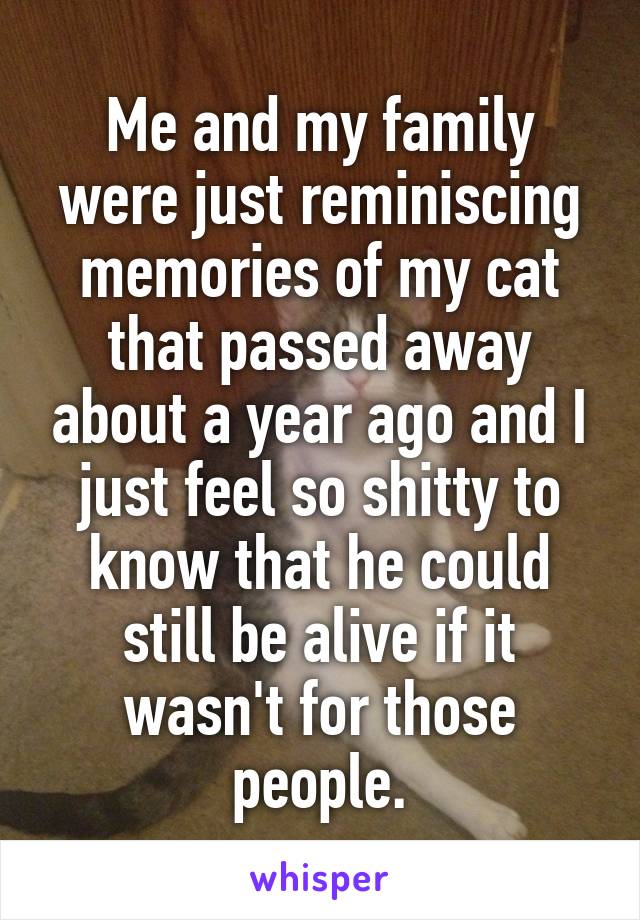 Me and my family were just reminiscing memories of my cat that passed away about a year ago and I just feel so shitty to know that he could still be alive if it wasn't for those people.