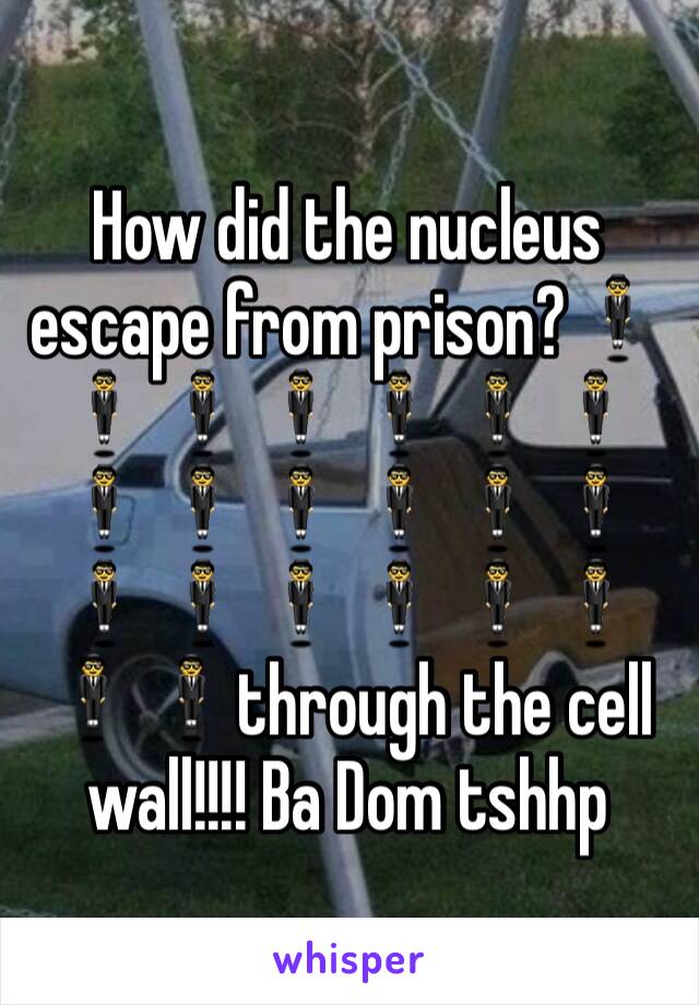 How did the nucleus escape from prison?🕴🕴🕴🕴🕴🕴🕴🕴🕴🕴🕴🕴🕴🕴🕴🕴🕴🕴🕴🕴🕴through the cell wall!!!! Ba Dom tshhp