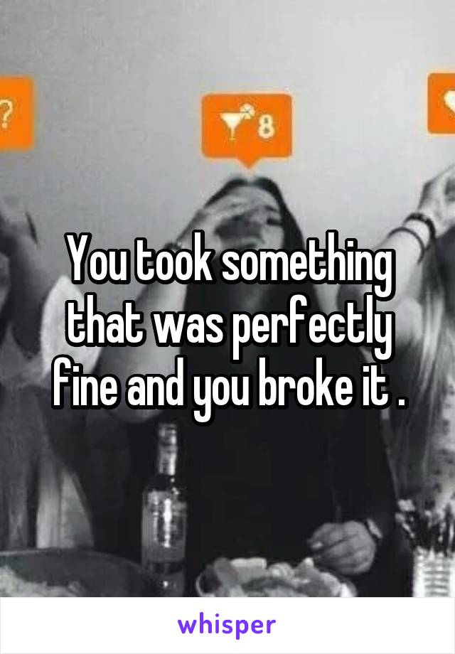 You took something that was perfectly fine and you broke it .