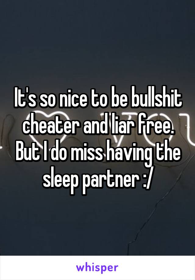 It's so nice to be bullshit cheater and liar free. But I do miss having the sleep partner :/