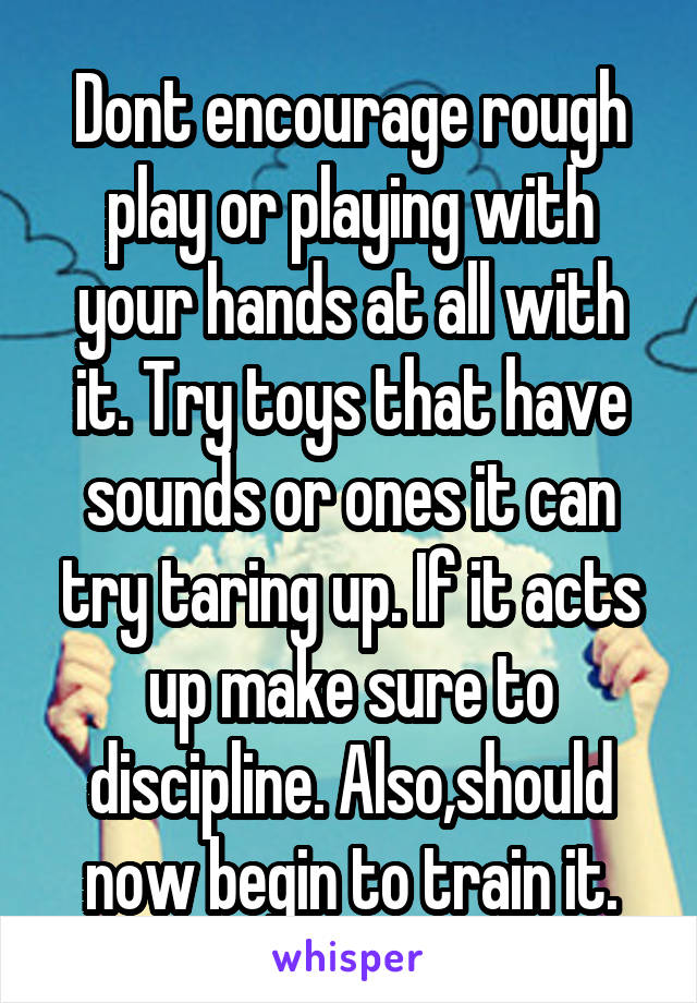 Dont encourage rough play or playing with your hands at all with it. Try toys that have sounds or ones it can try taring up. If it acts up make sure to discipline. Also,should now begin to train it.