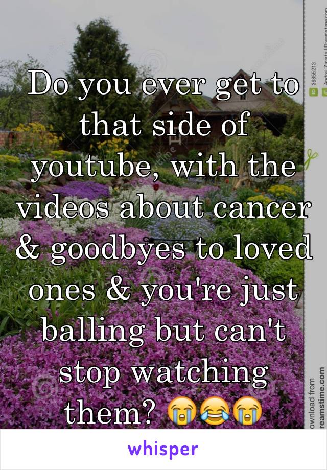 Do you ever get to that side of youtube, with the videos about cancer  & goodbyes to loved ones & you're just balling but can't stop watching them? 😭😂😭