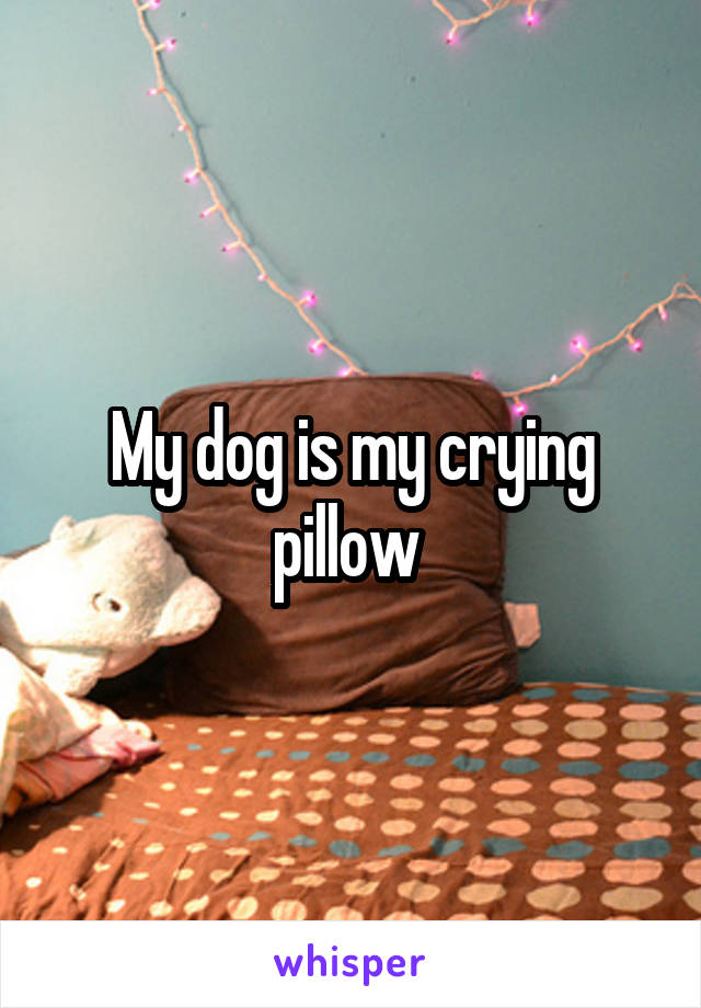 My dog is my crying pillow 