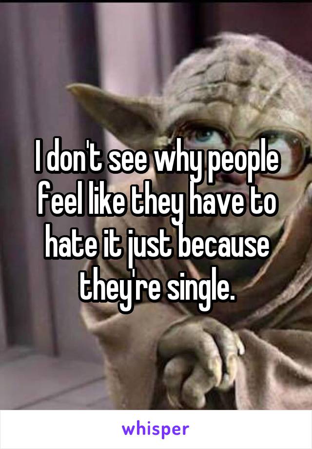 I don't see why people feel like they have to hate it just because they're single.