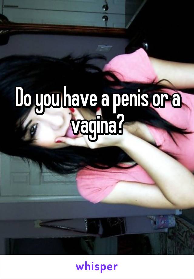 Do you have a penis or a vagina?

