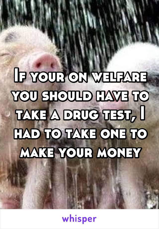 If your on welfare you should have to take a drug test, I had to take one to make your money