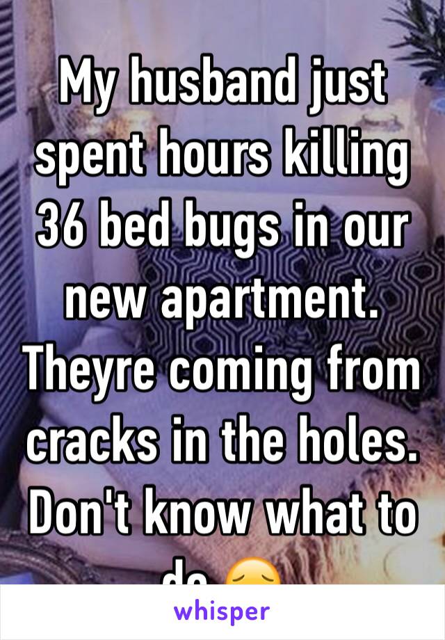 My husband just spent hours killing 36 bed bugs in our new apartment. Theyre coming from cracks in the holes. Don't know what to do 😔