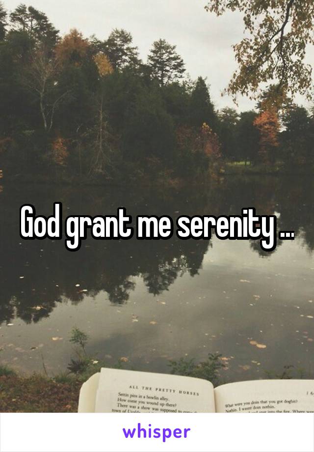 God grant me serenity ...