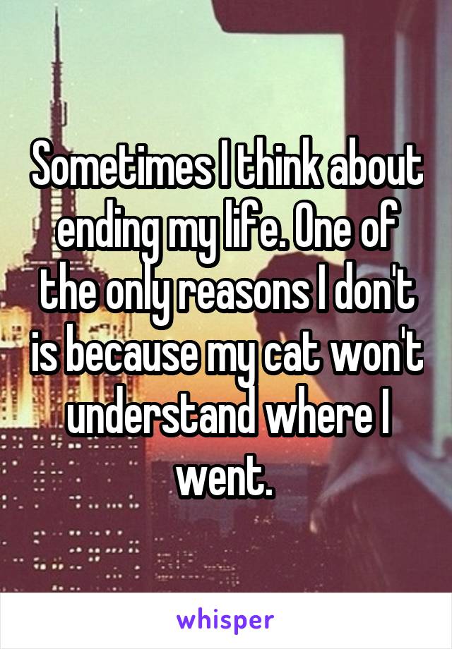 Sometimes I think about ending my life. One of the only reasons I don't is because my cat won't understand where I went. 