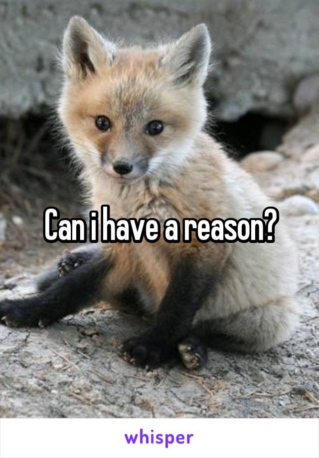 Can i have a reason?