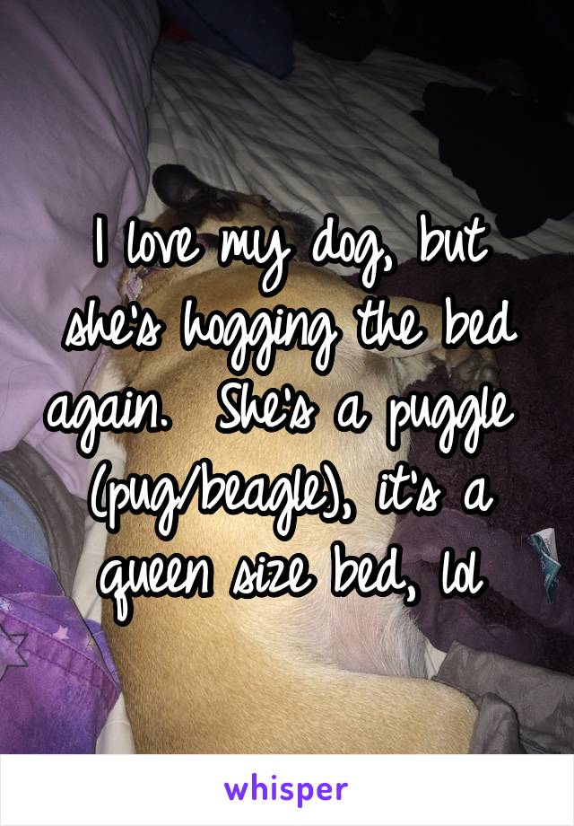 I love my dog, but she's hogging the bed again.  She's a puggle 
(pug/beagle), it's a queen size bed, lol