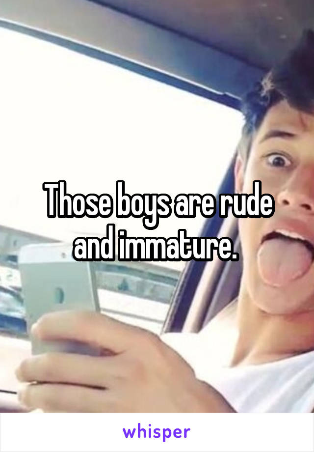 Those boys are rude and immature. 