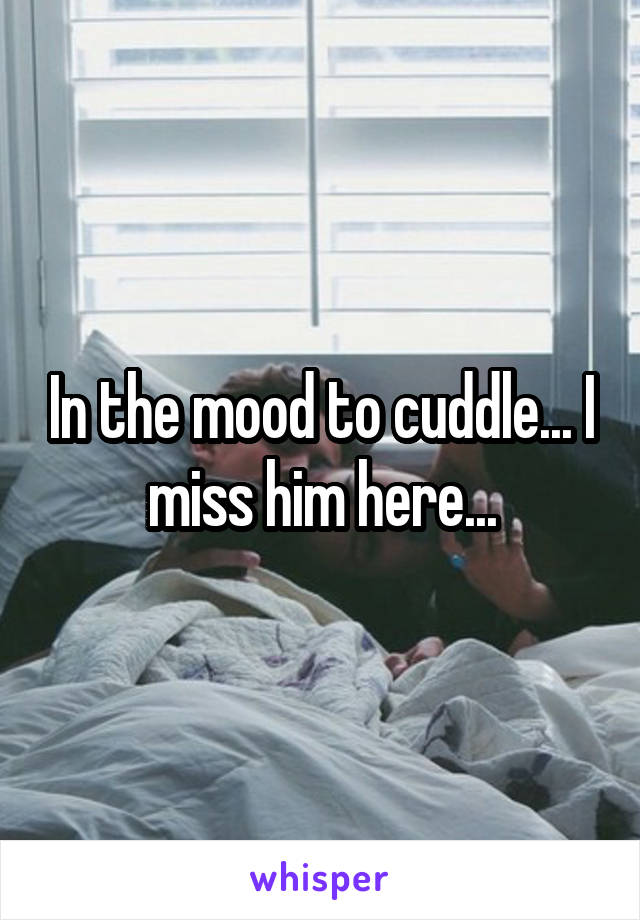 In the mood to cuddle... I miss him here...