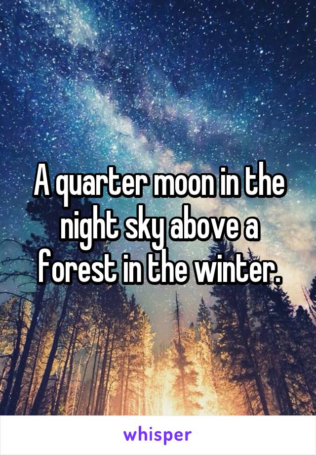 A quarter moon in the night sky above a forest in the winter.