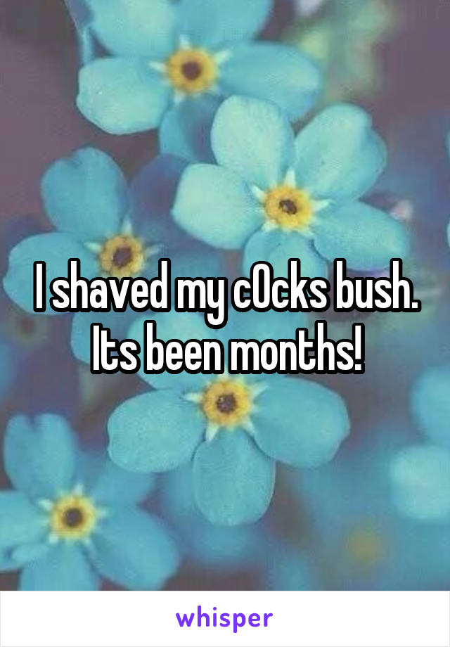I shaved my c0cks bush. Its been months!