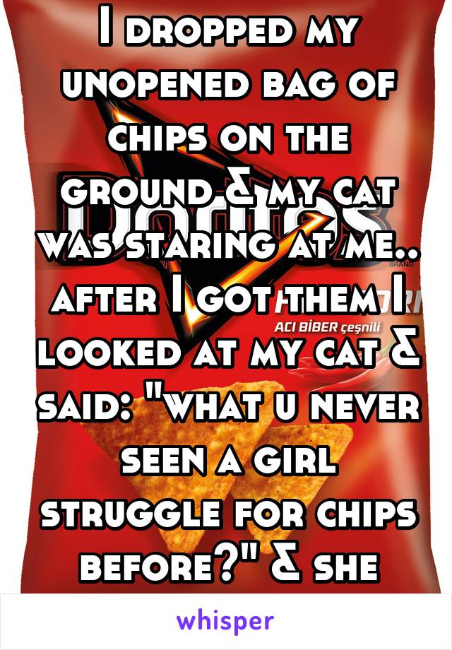 I dropped my unopened bag of chips on the ground & my cat was staring at me.. after I got them I looked at my cat & said: "what u never seen a girl struggle for chips before?" & she looked away..