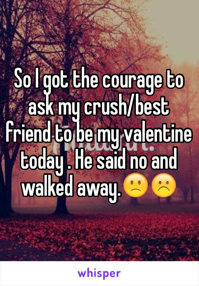 So I got the courage to ask my crush/best friend to be my valentine today . He said no and walked away.🙁☹️
