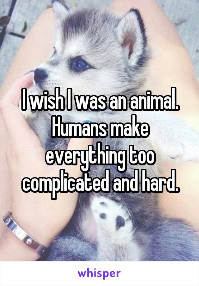 I wish I was an animal. Humans make everything too complicated and hard.