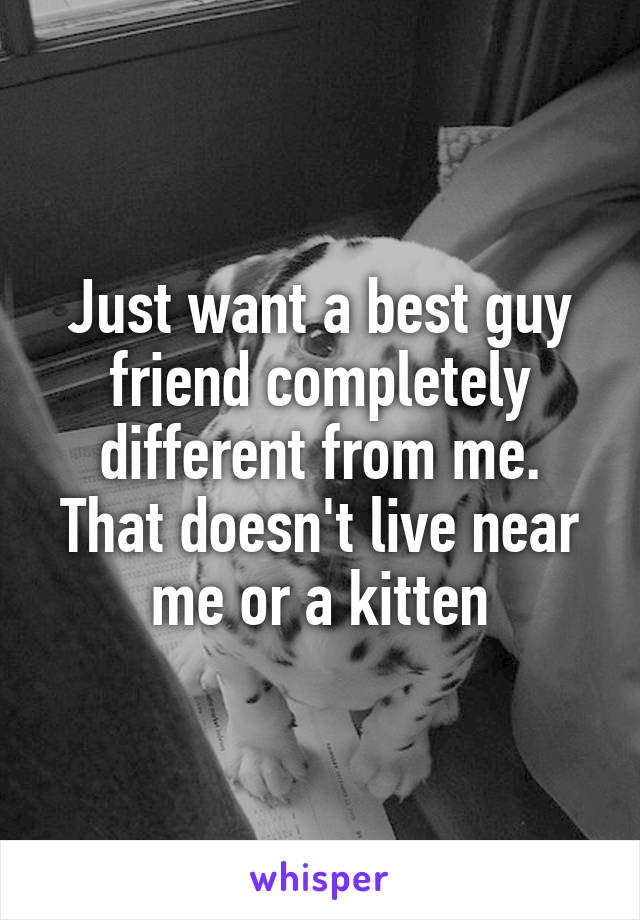 Just want a best guy friend completely different from me. That doesn't live near me or a kitten