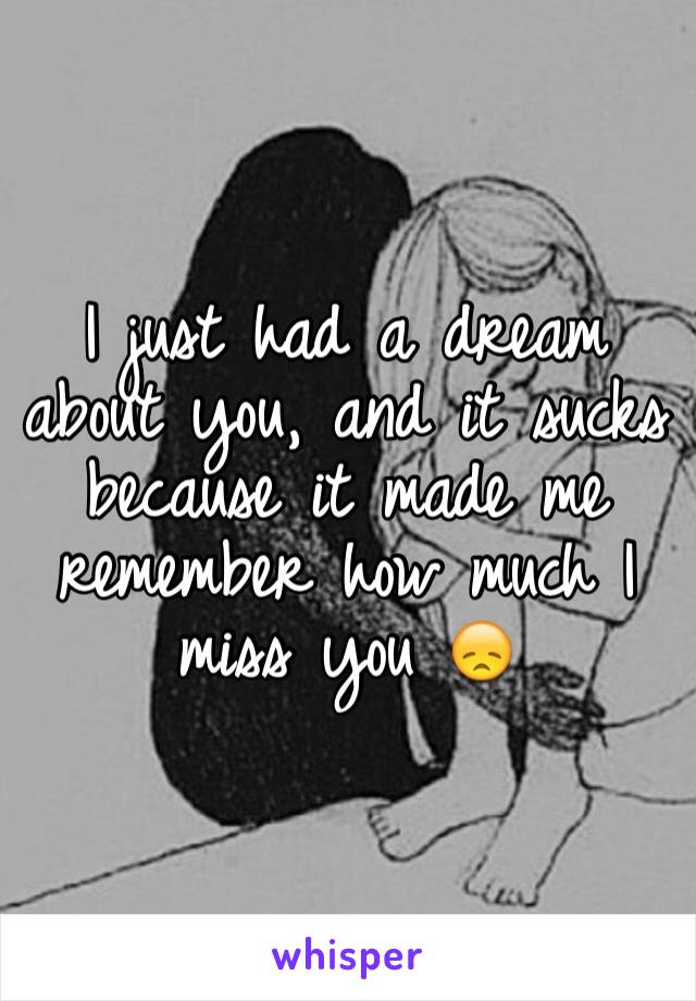 I just had a dream about you, and it sucks because it made me remember how much I miss you 😞