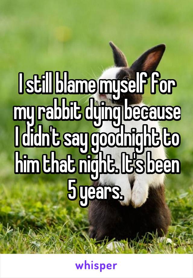 I still blame myself for my rabbit dying because I didn't say goodnight to him that night. It's been 5 years. 