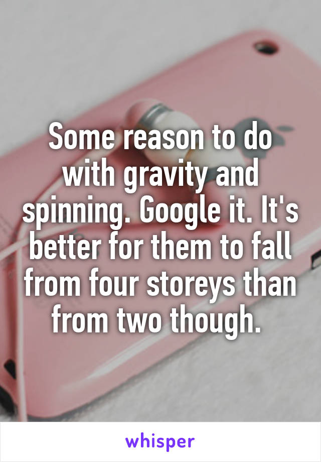 Some reason to do with gravity and spinning. Google it. It's better for them to fall from four storeys than from two though. 