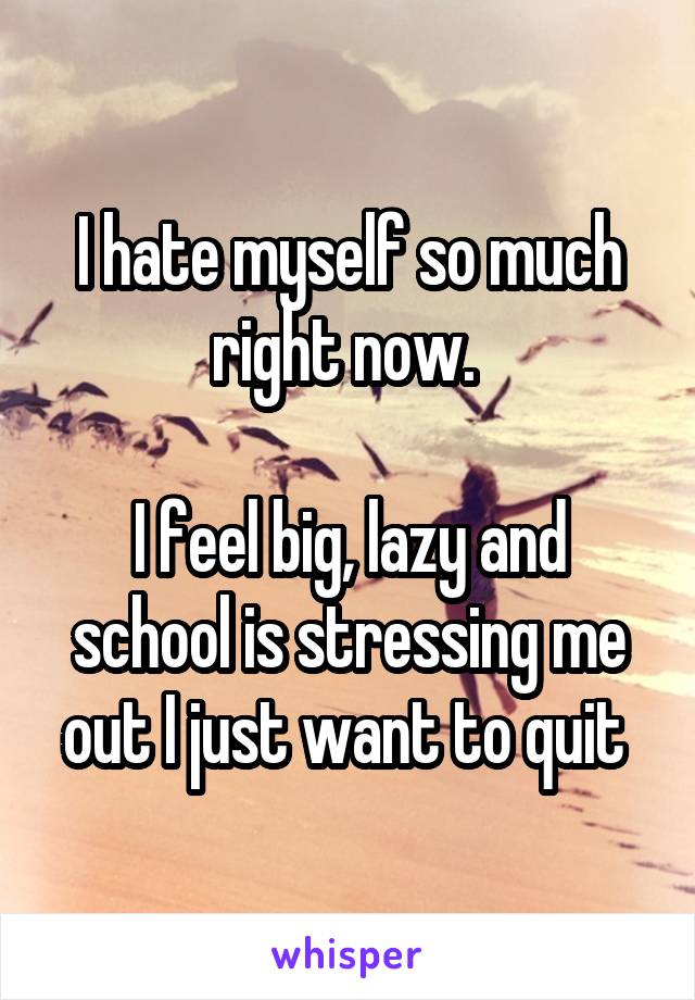 I hate myself so much right now. 

I feel big, lazy and school is stressing me out I just want to quit 
