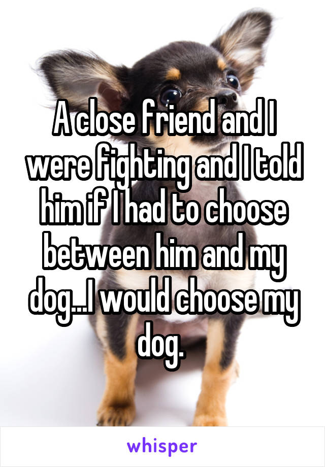 A close friend and I were fighting and I told him if I had to choose between him and my dog...I would choose my dog. 