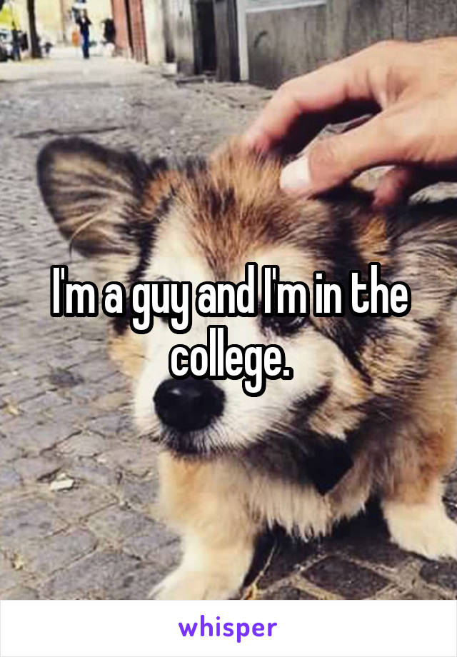 I'm a guy and I'm in the college.