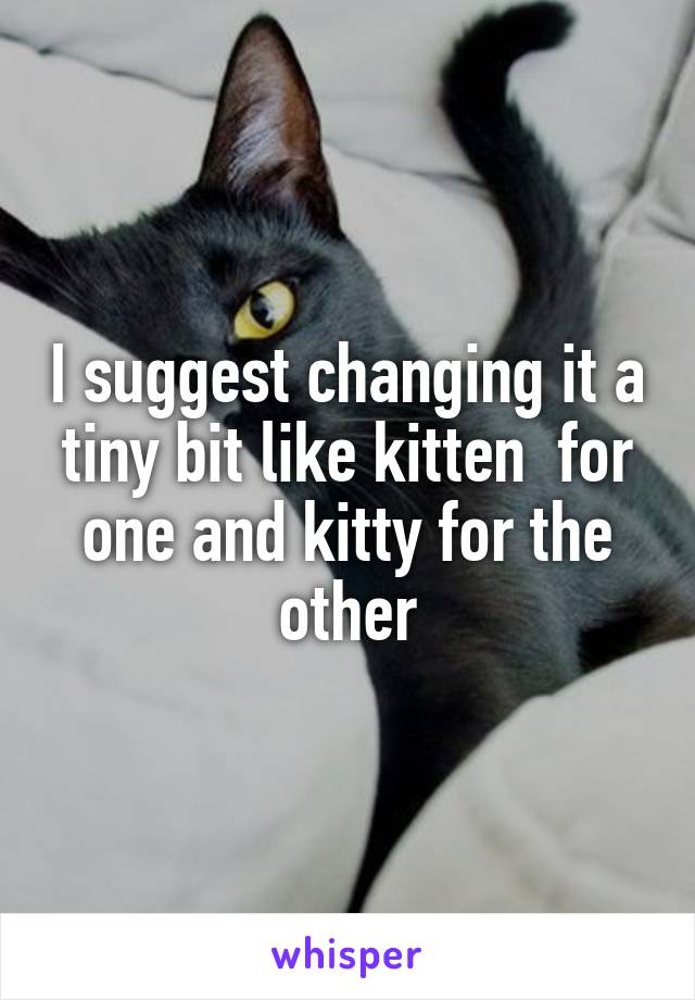 I suggest changing it a tiny bit like kitten  for one and kitty for the other
