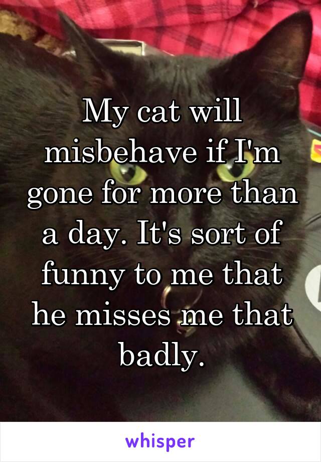 My cat will misbehave if I'm gone for more than a day. It's sort of funny to me that he misses me that badly.