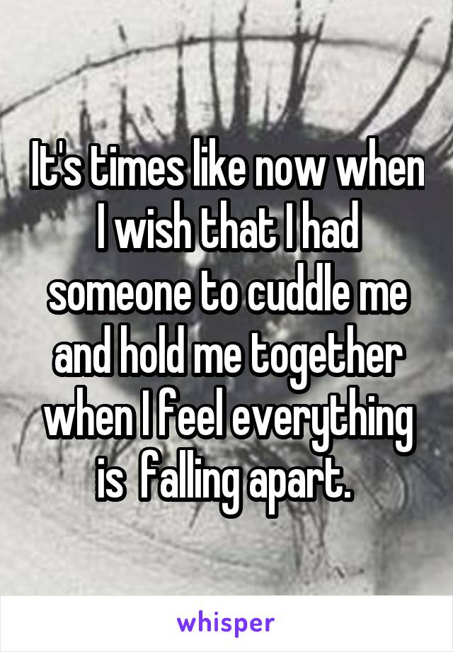 It's times like now when I wish that I had someone to cuddle me and hold me together when I feel everything is  falling apart. 