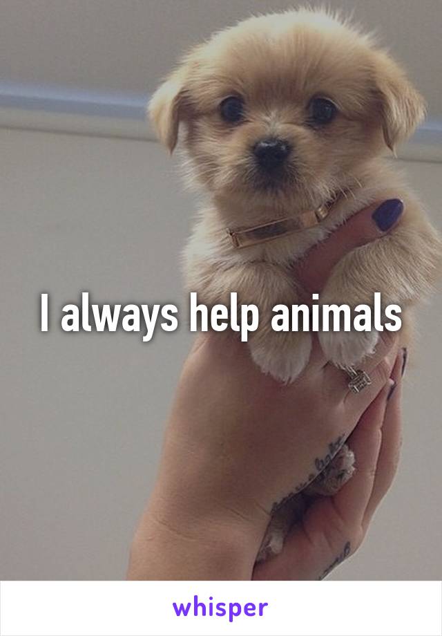 I always help animals