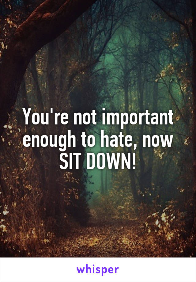 You're not important enough to hate, now SIT DOWN!