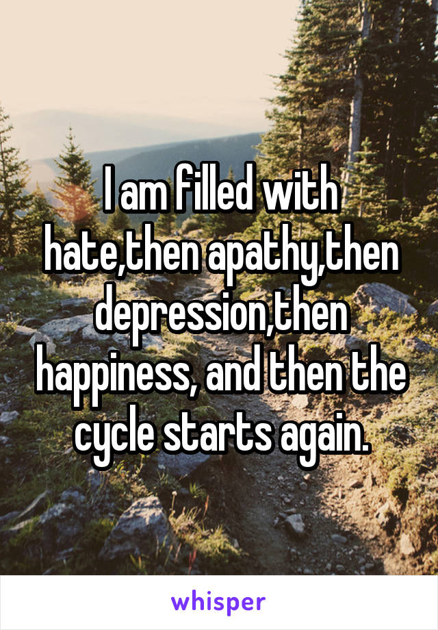 I am filled with hate,then apathy,then depression,then happiness, and then the cycle starts again.