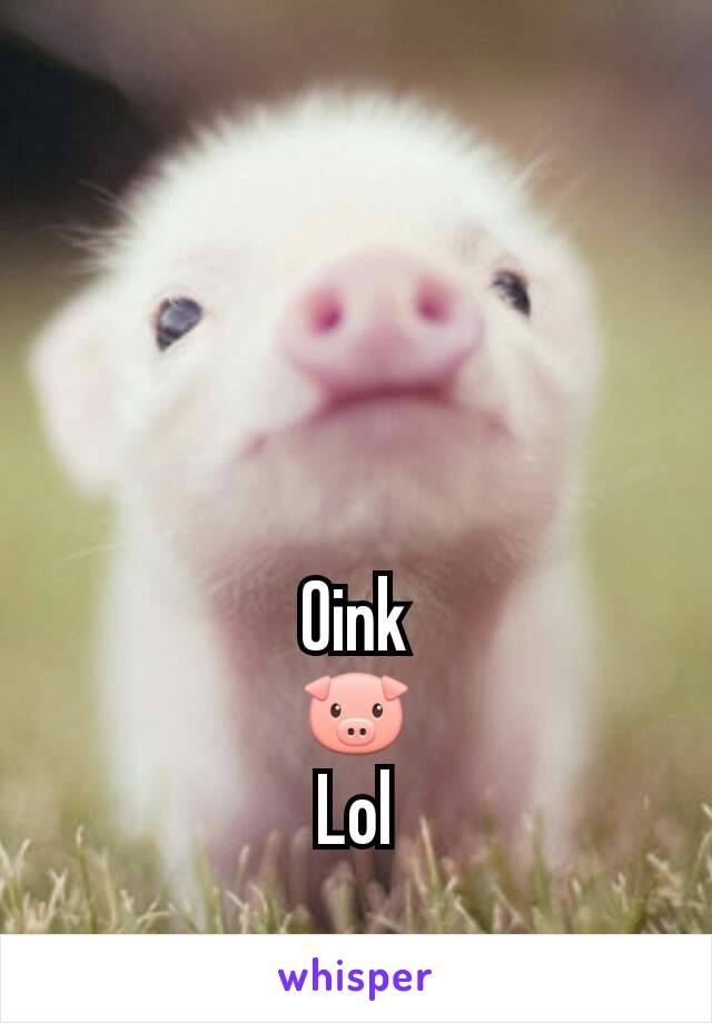 Oink
🐷
Lol